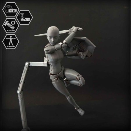 1/10 Scale Action Figure E.V.A 01