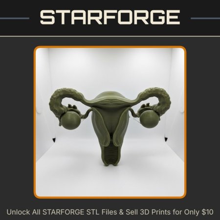 Educational Model of Human Uterus with Ovaries and Fallopian Tubes StarForge Kits 3D Print STL File