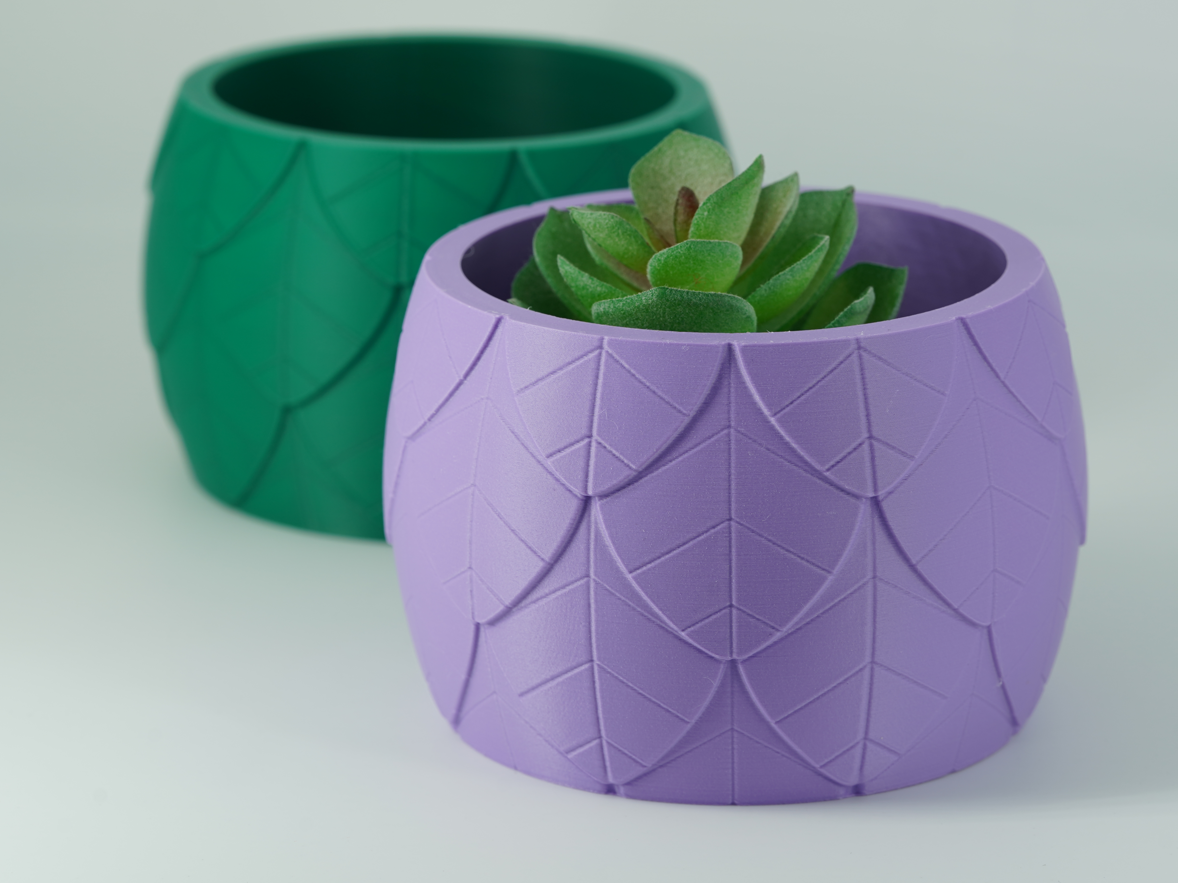 Leaf Scale Succulent Planter – Botanical Textured Flower Pot
