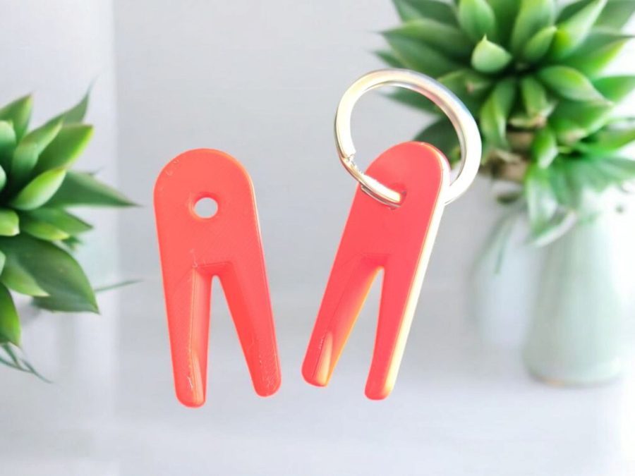 Tick Remover Keychain