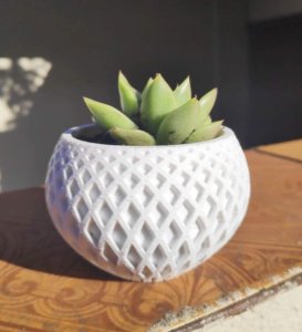 modern planter