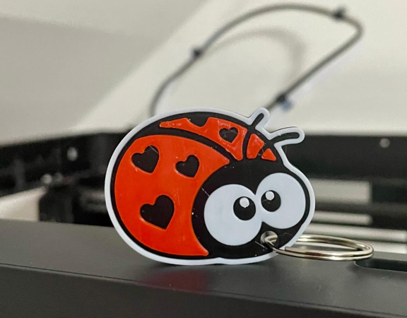 Ladybug keychain