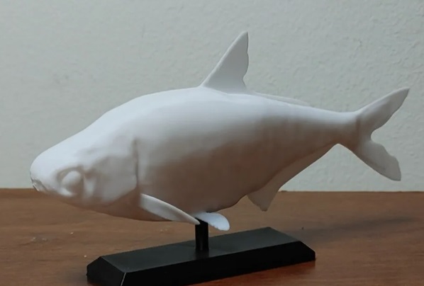 Montura de pez sábalo