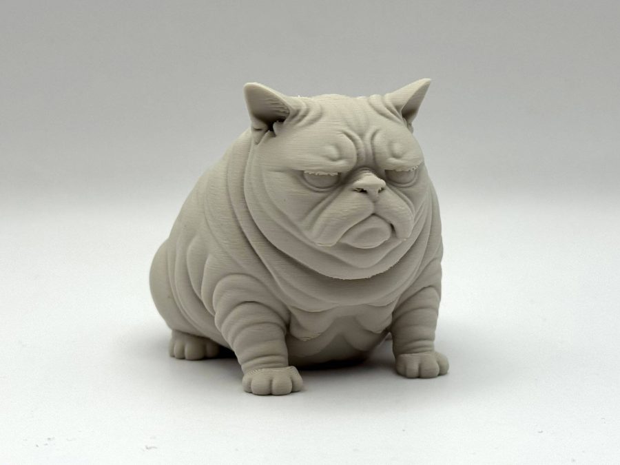 Wrinkles the Cat