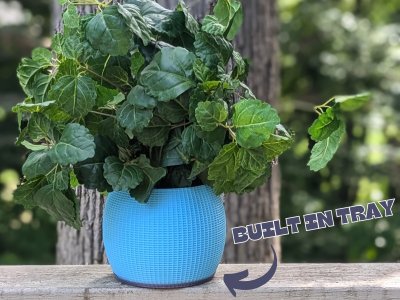 Grid Planter