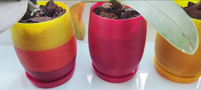 orchid planter