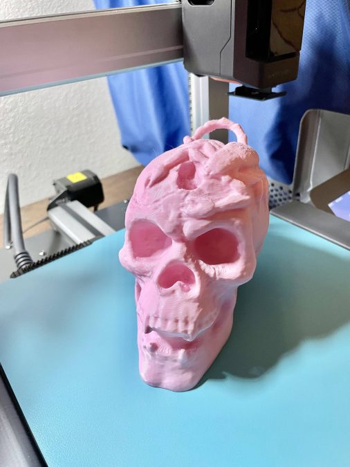 Vampire Scorpion Skull