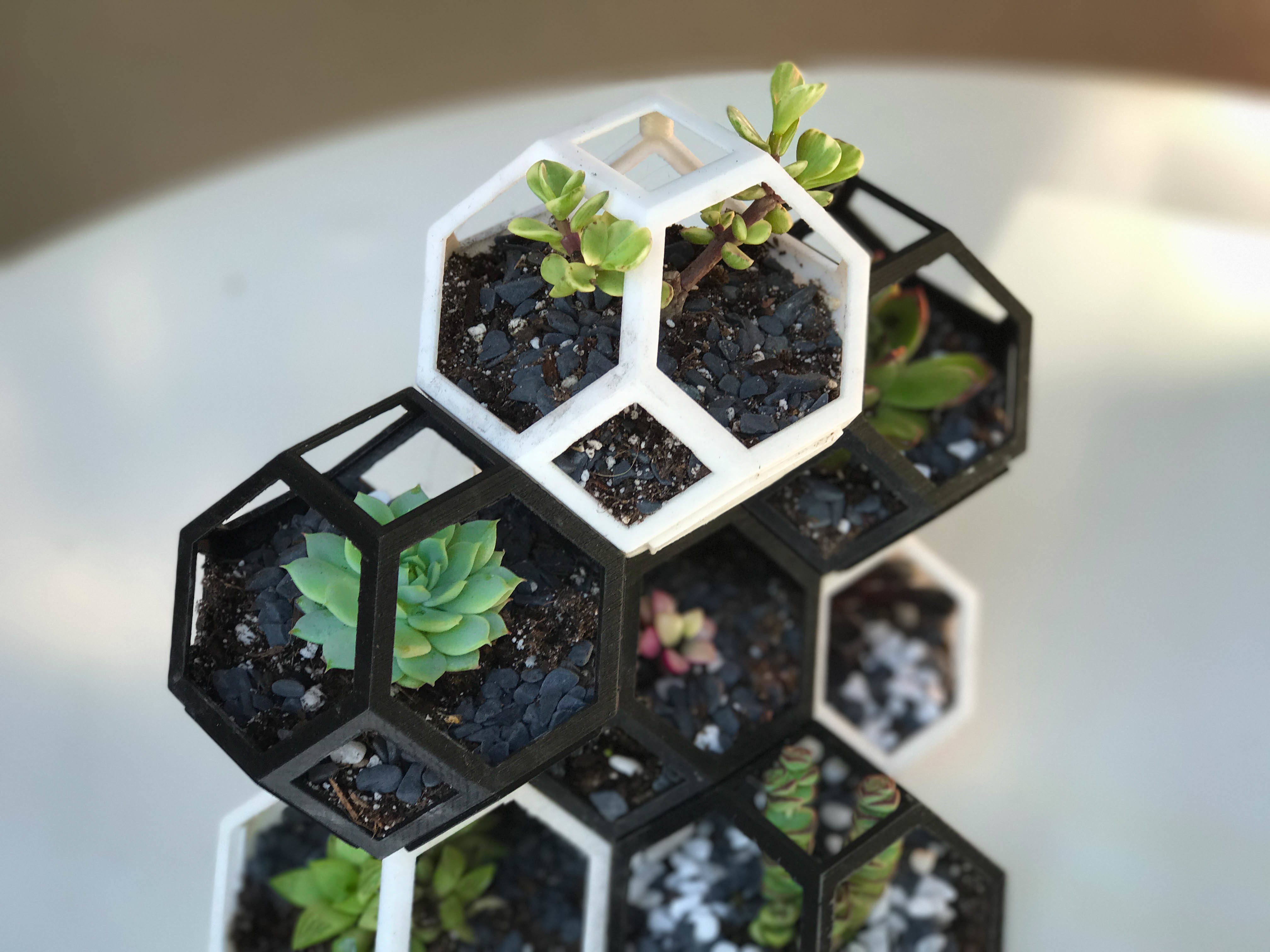 Plantygon modular geometric stacking planter