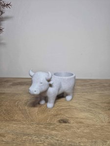 Buffalo planter