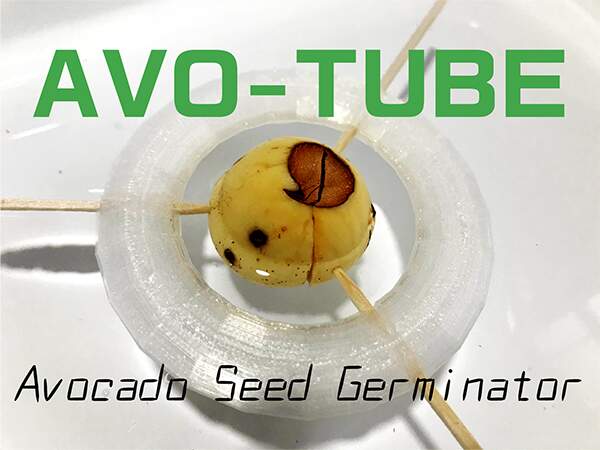 AVO-TUBE