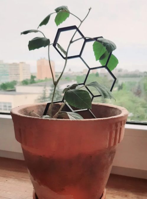 Plant supports