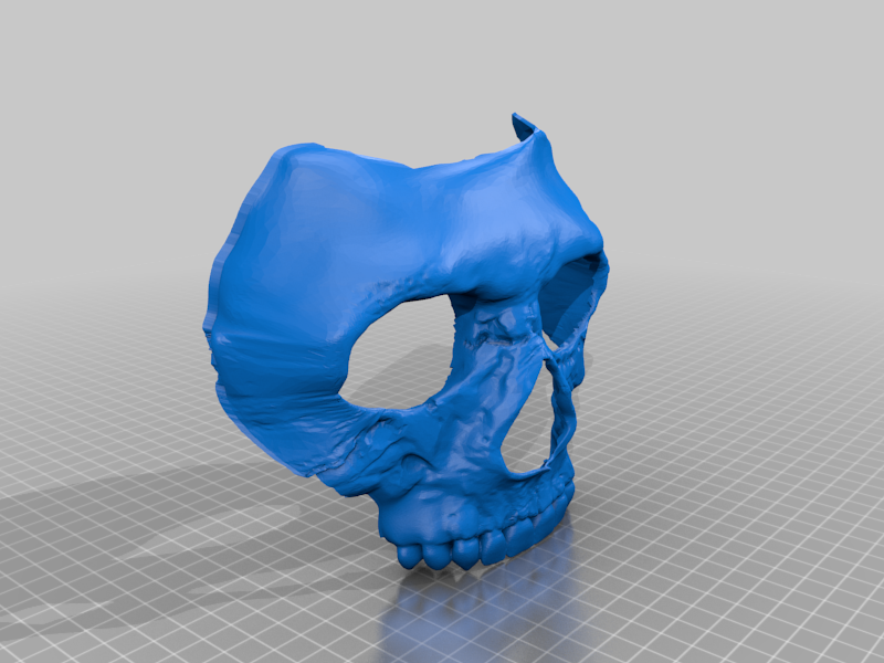 Ghost Mask from Call of Duty ––( Personal Use Recommended)