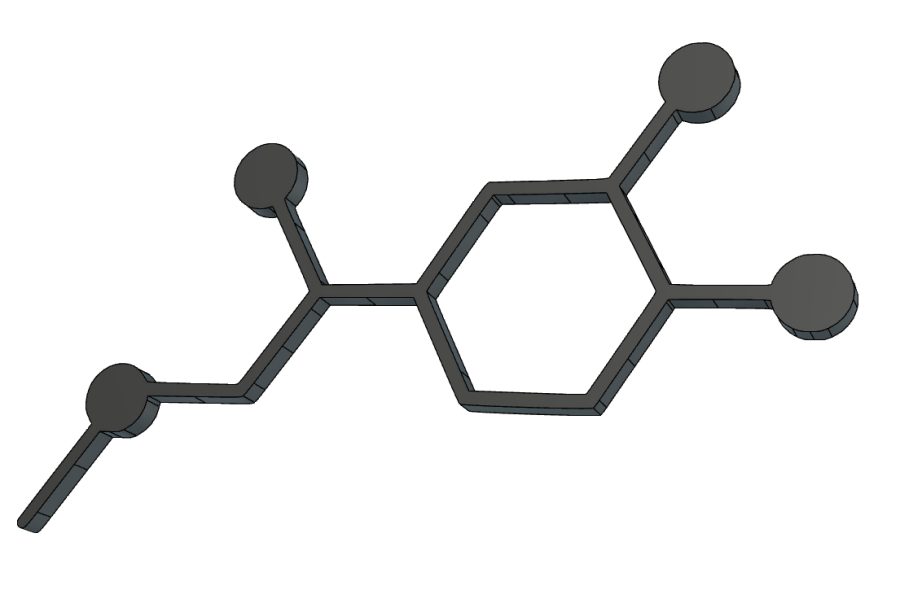 Adrenaline molecule magnet