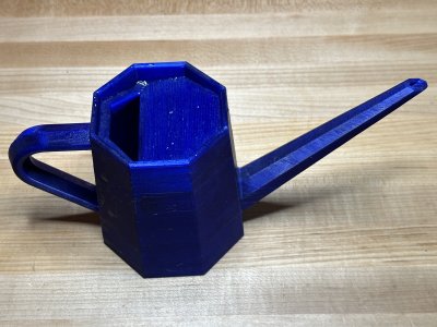 Bonsai Watering Can