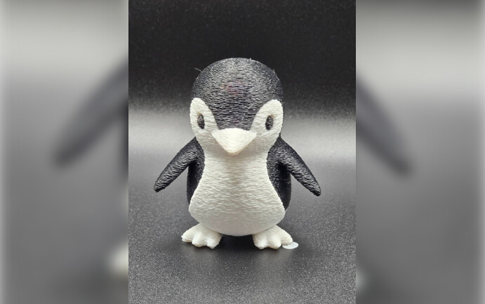 a penguin only 2 colors