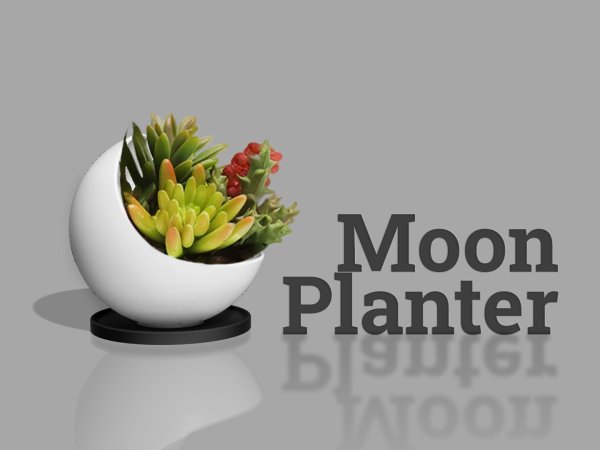 Moon planter