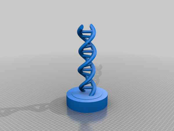 Dna Model