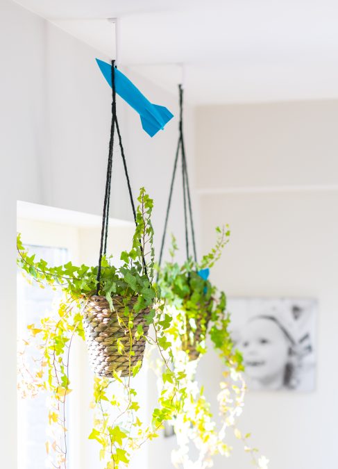 Ceiling hook for plants