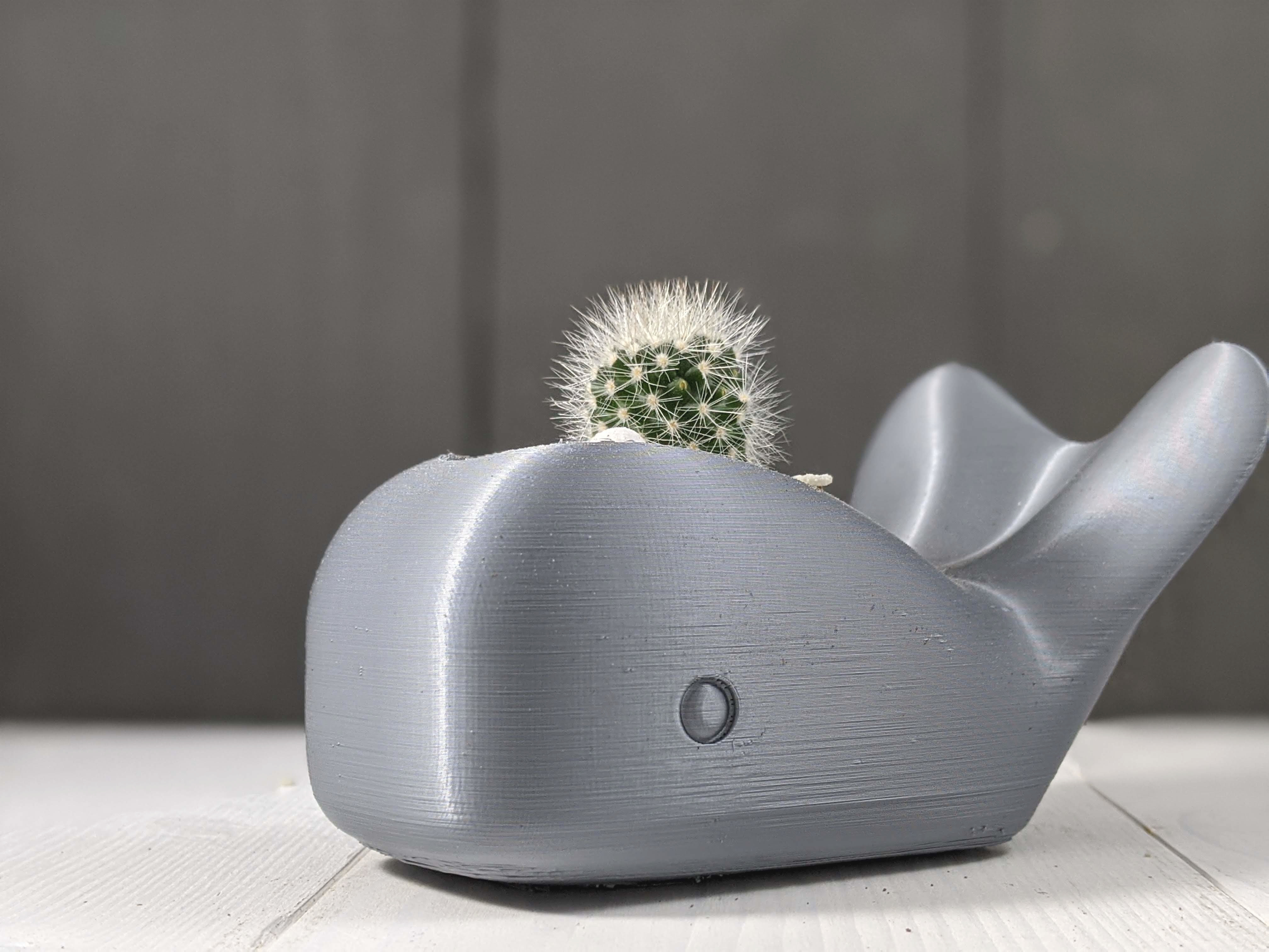 Whale Planter