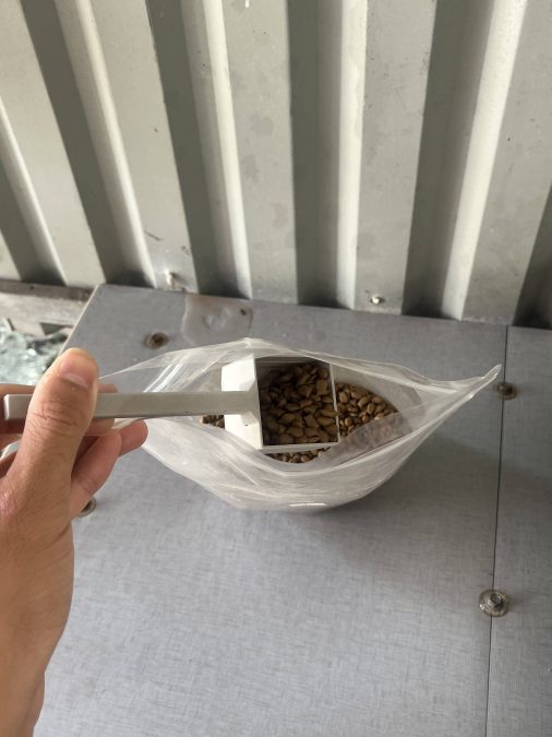 pet food scoop