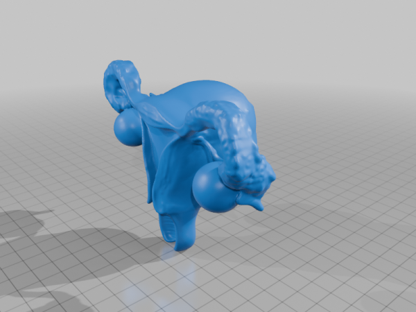 Educational Model of Human Uterus with Ovaries and Fallopian Tubes StarForge Kits 3D Print STL File