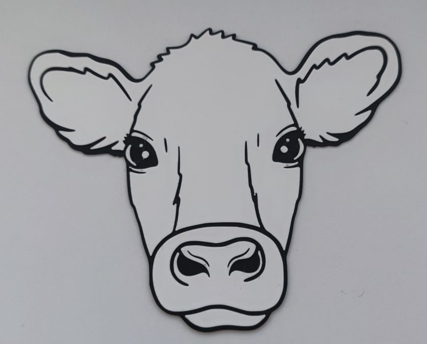 Cow head