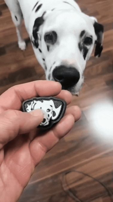 Dalmation keychain clicker.