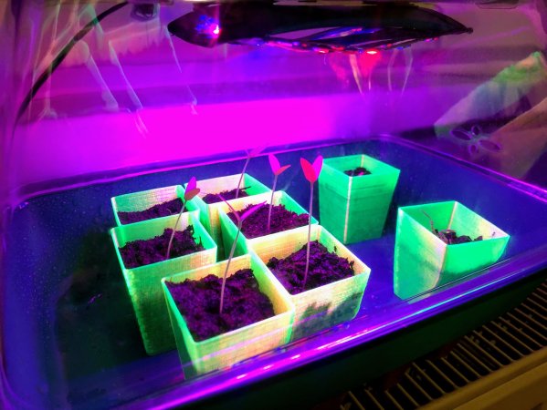 Mini seed starting cup/pot