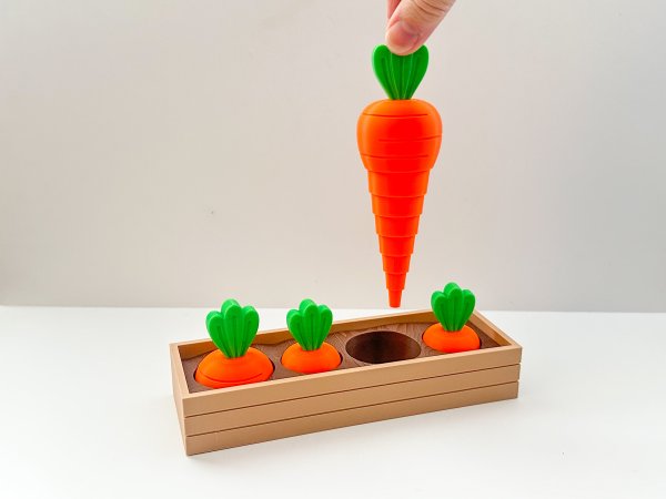 Carrot Garden Layered Fidget Toy