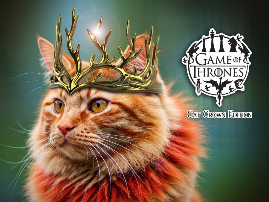 Game of Thrones - Cat Crown Edition
