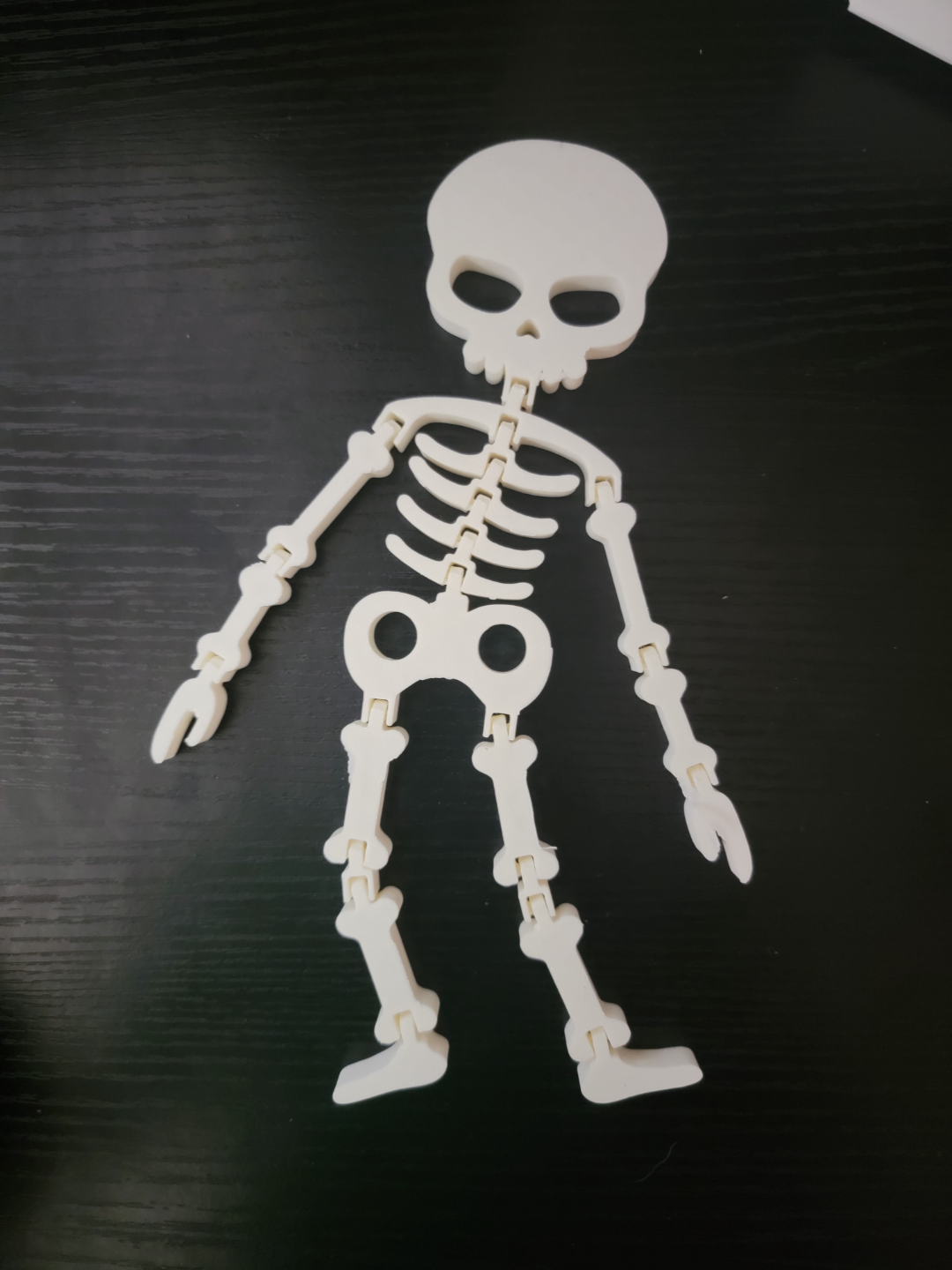 Flexi Halloween Skeleton Decoration / Toy