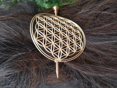 Flower of life , Kvet života