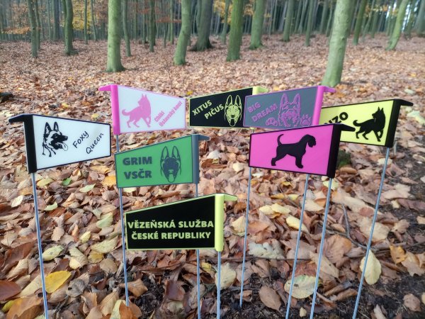 TRACK LEAVE FLAG DOG SPORT