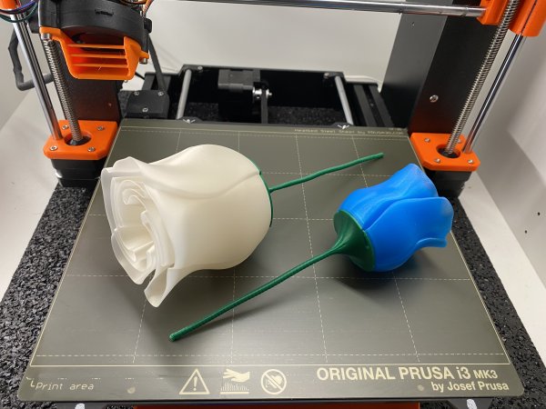 Spiral Vase Rose Stem