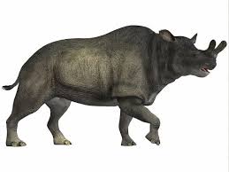 brontotherium