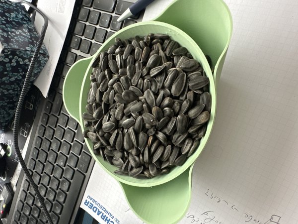 [OLD VERSION] Sunflower Seed/Pistachio bowl