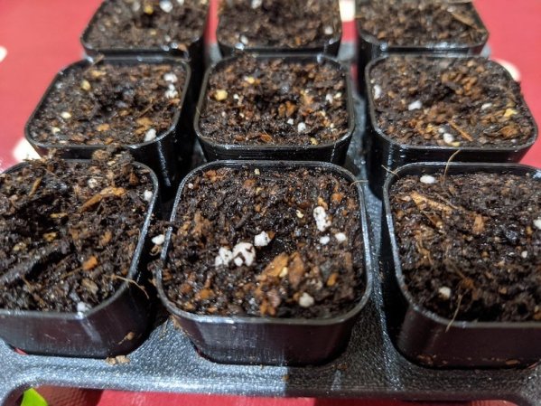 Seed Tray (Plug/Module Tray)