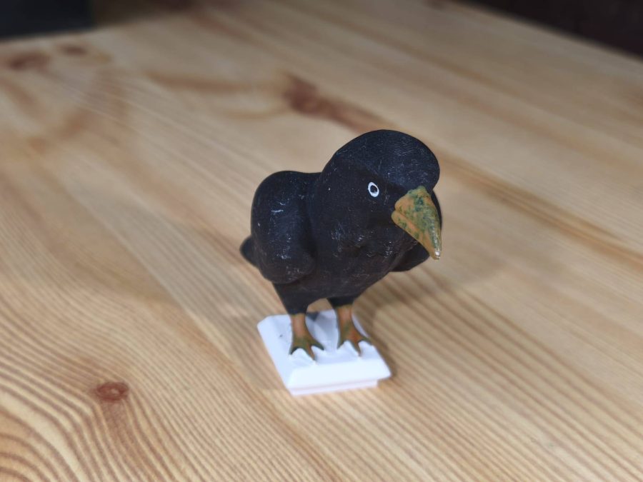 Raven