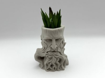 Treestub Planter