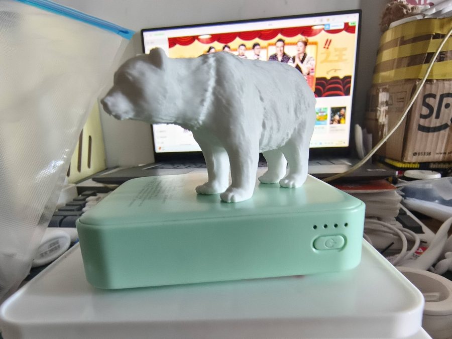 北极熊