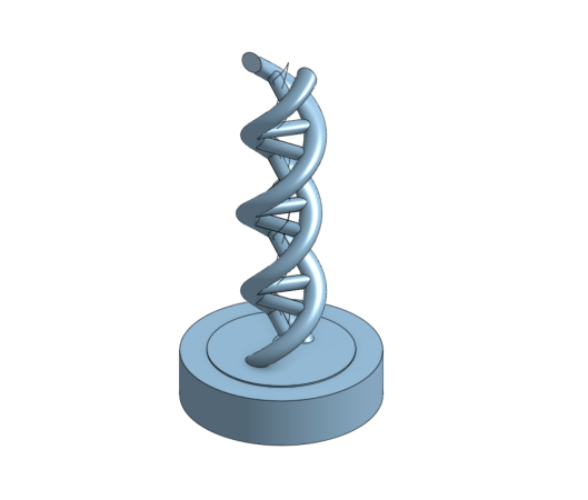 DNA Model