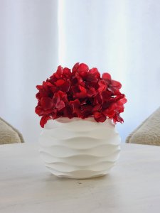 SoftWave Planter