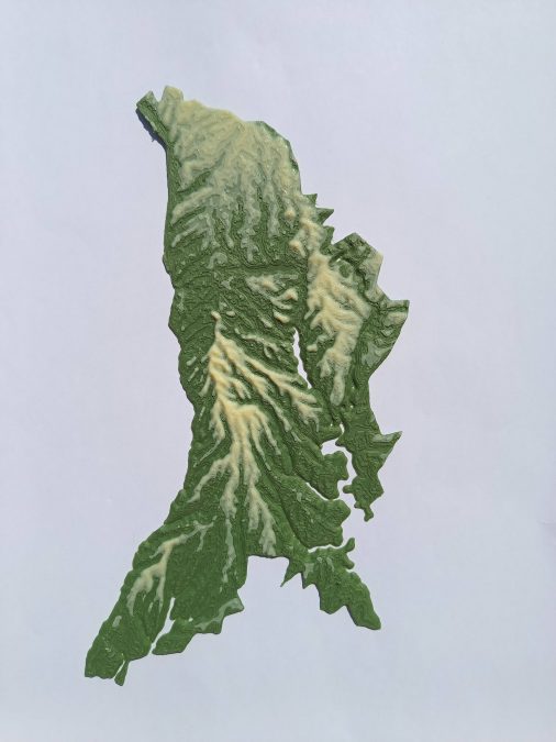 Terrain Map - Colored - Moldova