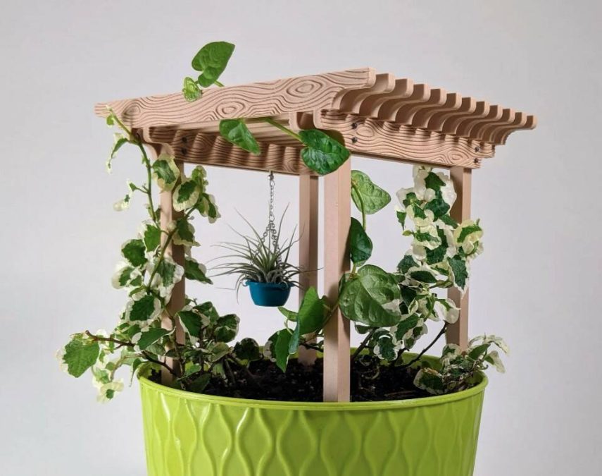 Potted Plant Pergola for Support & Shade