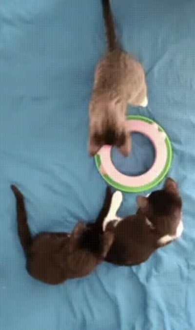 High quality ball spinner for various games.