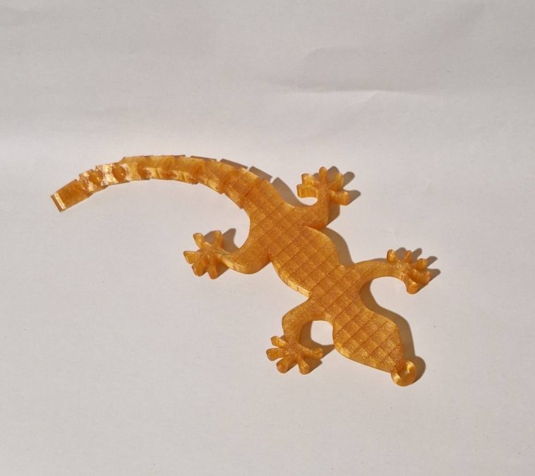 flexi Salamander Wandeko