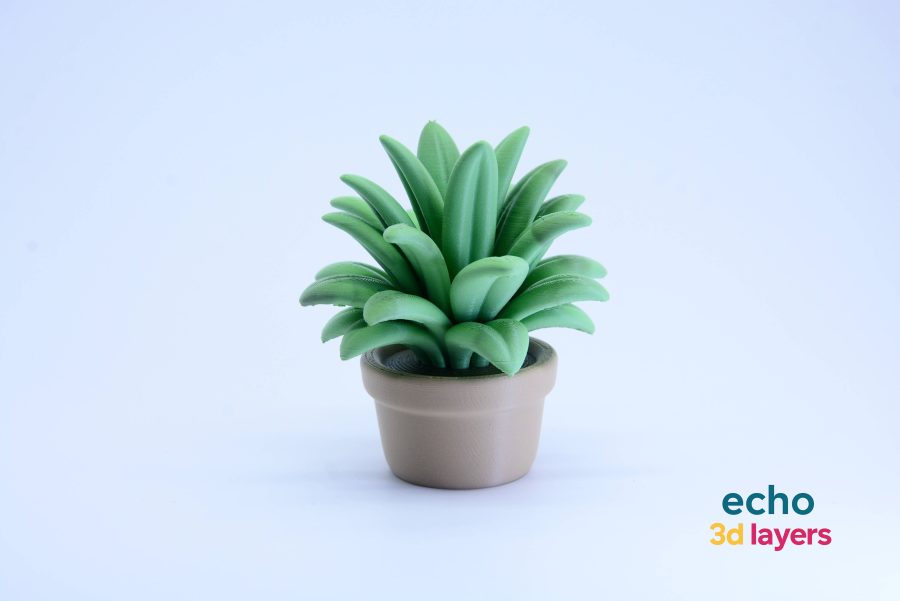 Potted Succulent – Decorative