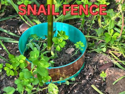 Snail fence
