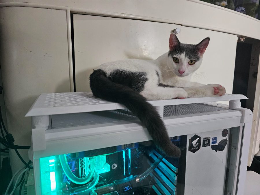 pc fan shroud cat friendly for fractal meshify 2