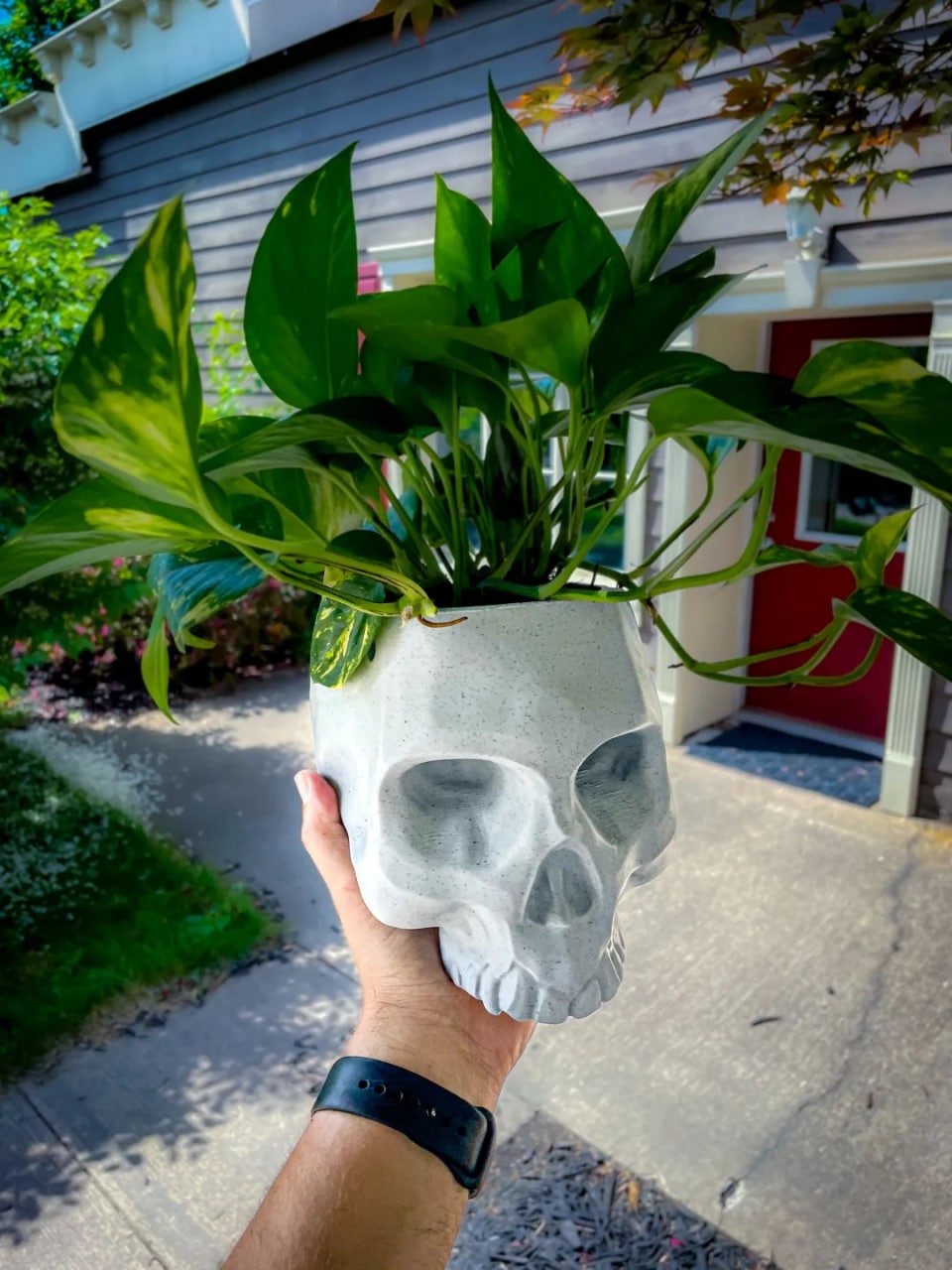 Skull Hanging Planter